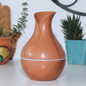 Difusor pequeño tipo botella