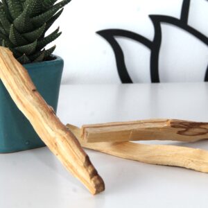 PALO SANTO SAGRADO X 40G